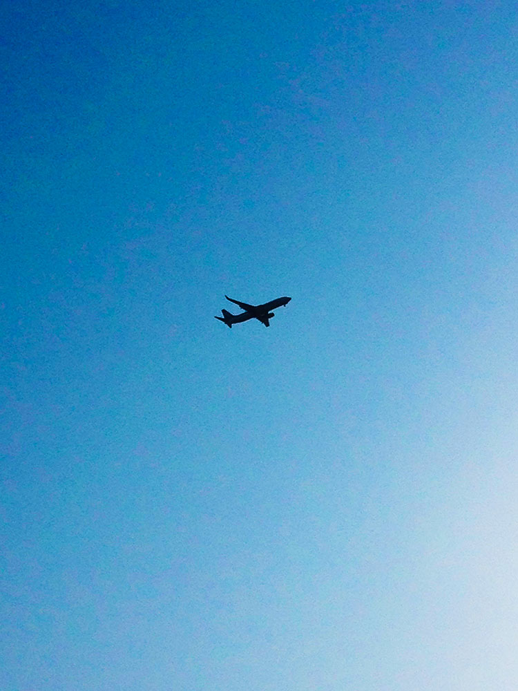 写真 ２０２５.１