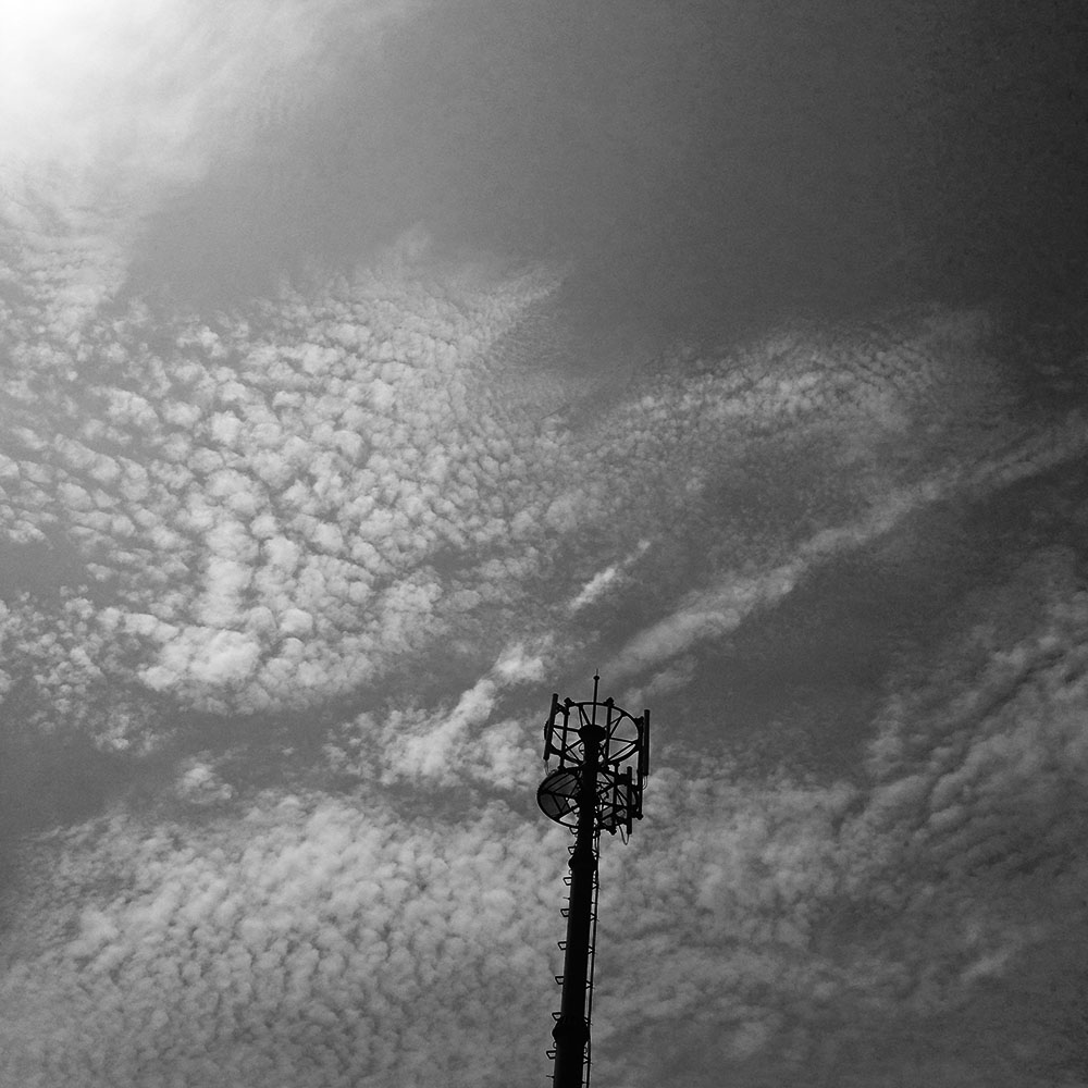 写真 ２０２５.２