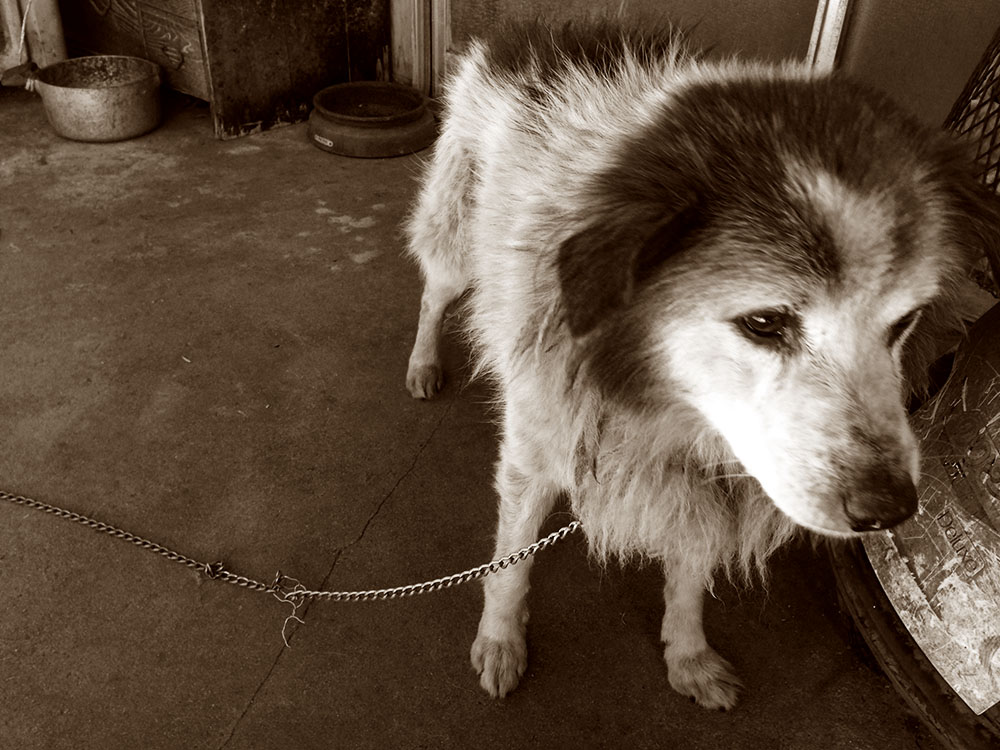 写真 ２０２５.３