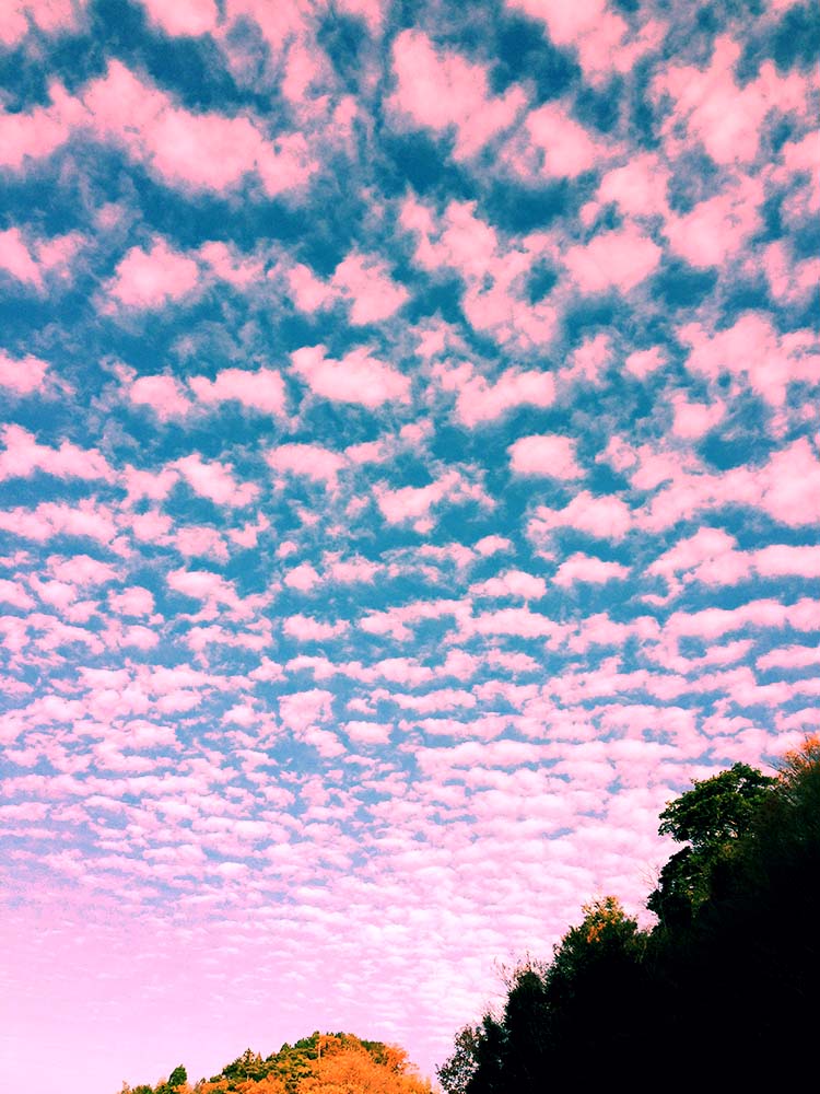 写真 ２０２５.４