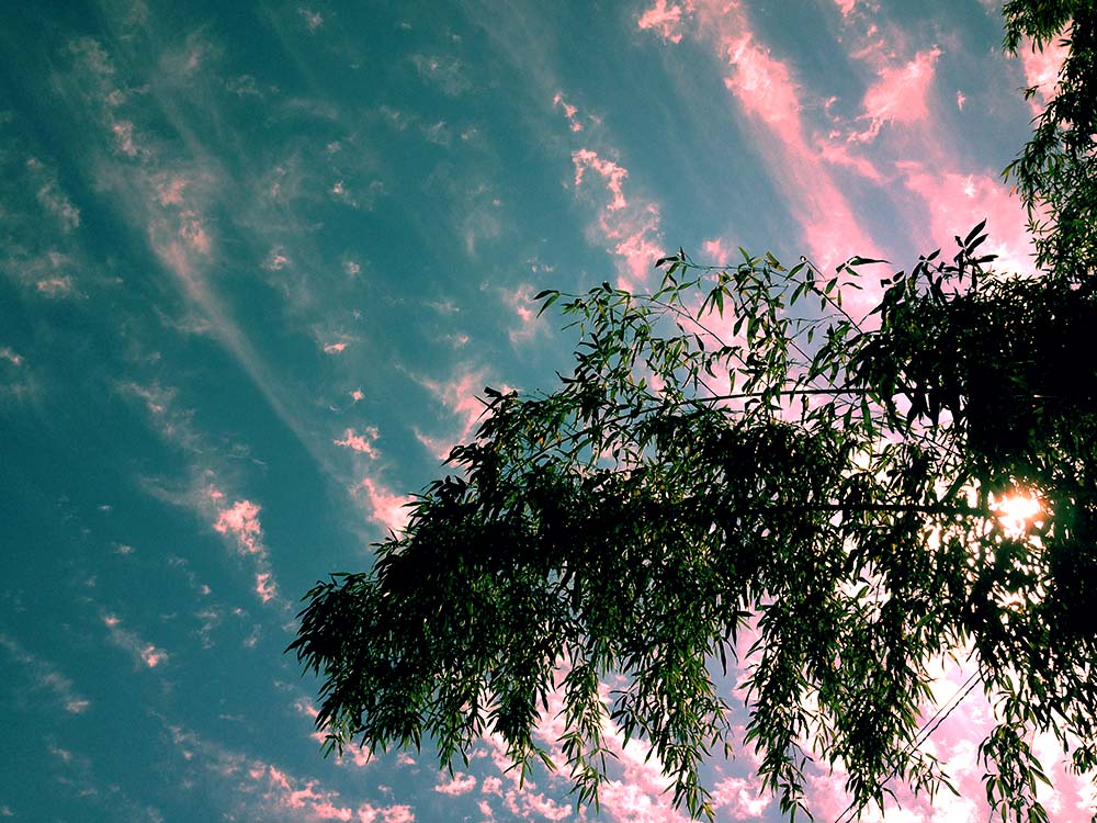 写真 ２０２５.８