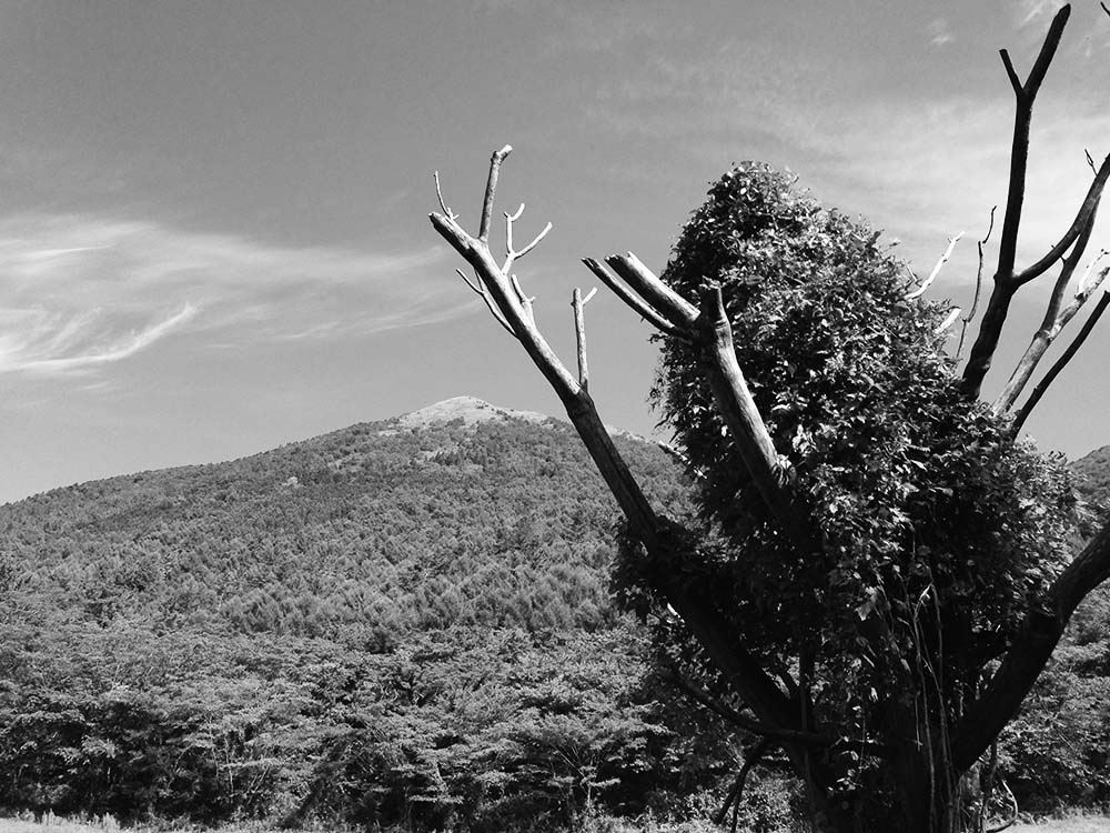 写真 ２０２５.８