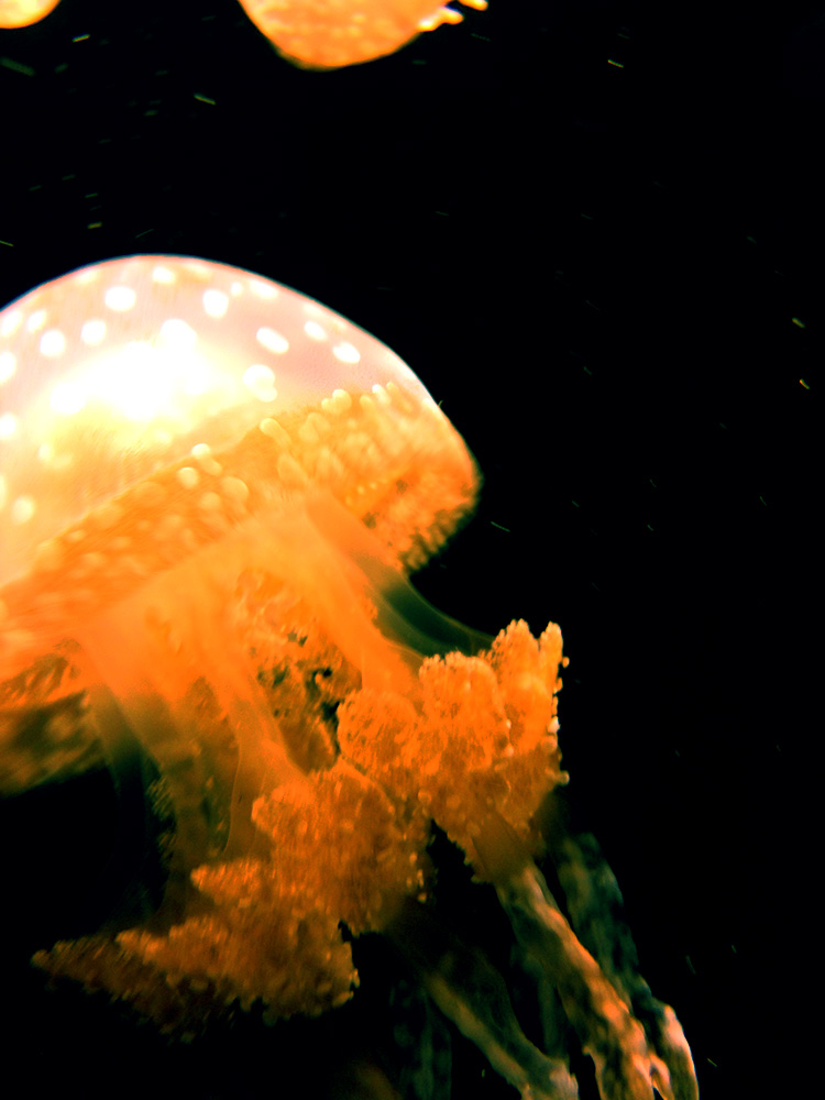 写真 ２０２５.８