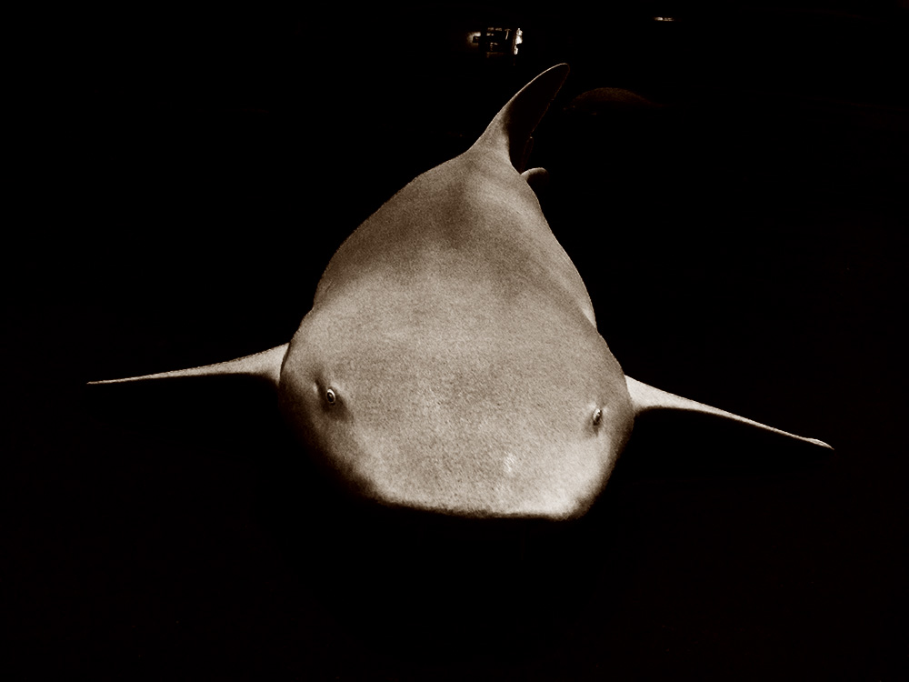 写真 ２０２５.８