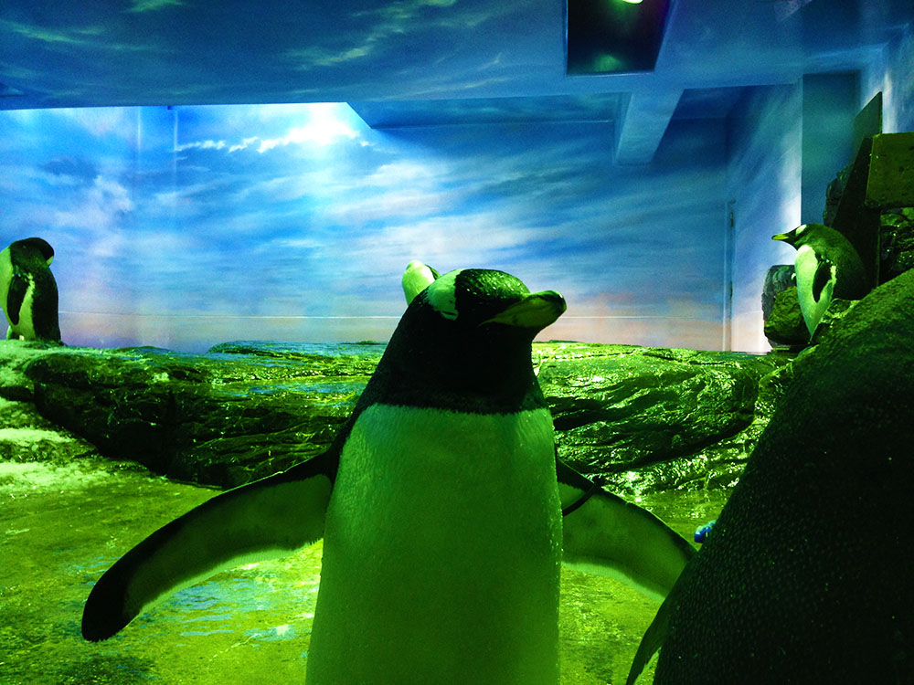 写真 ２０２５.９