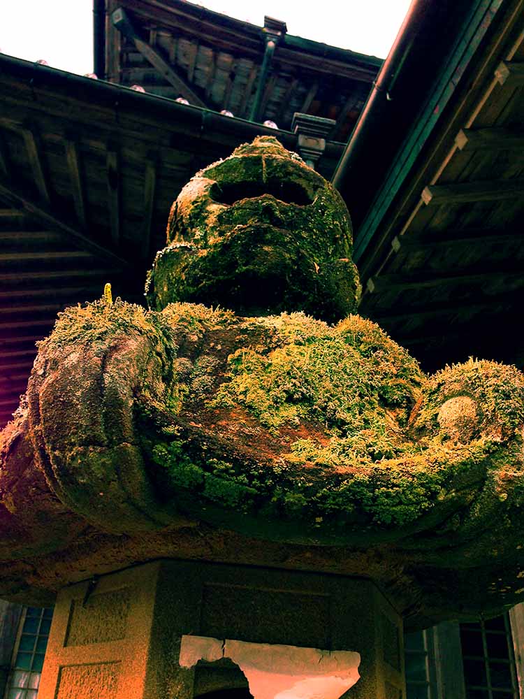 写真 ２０２５.９