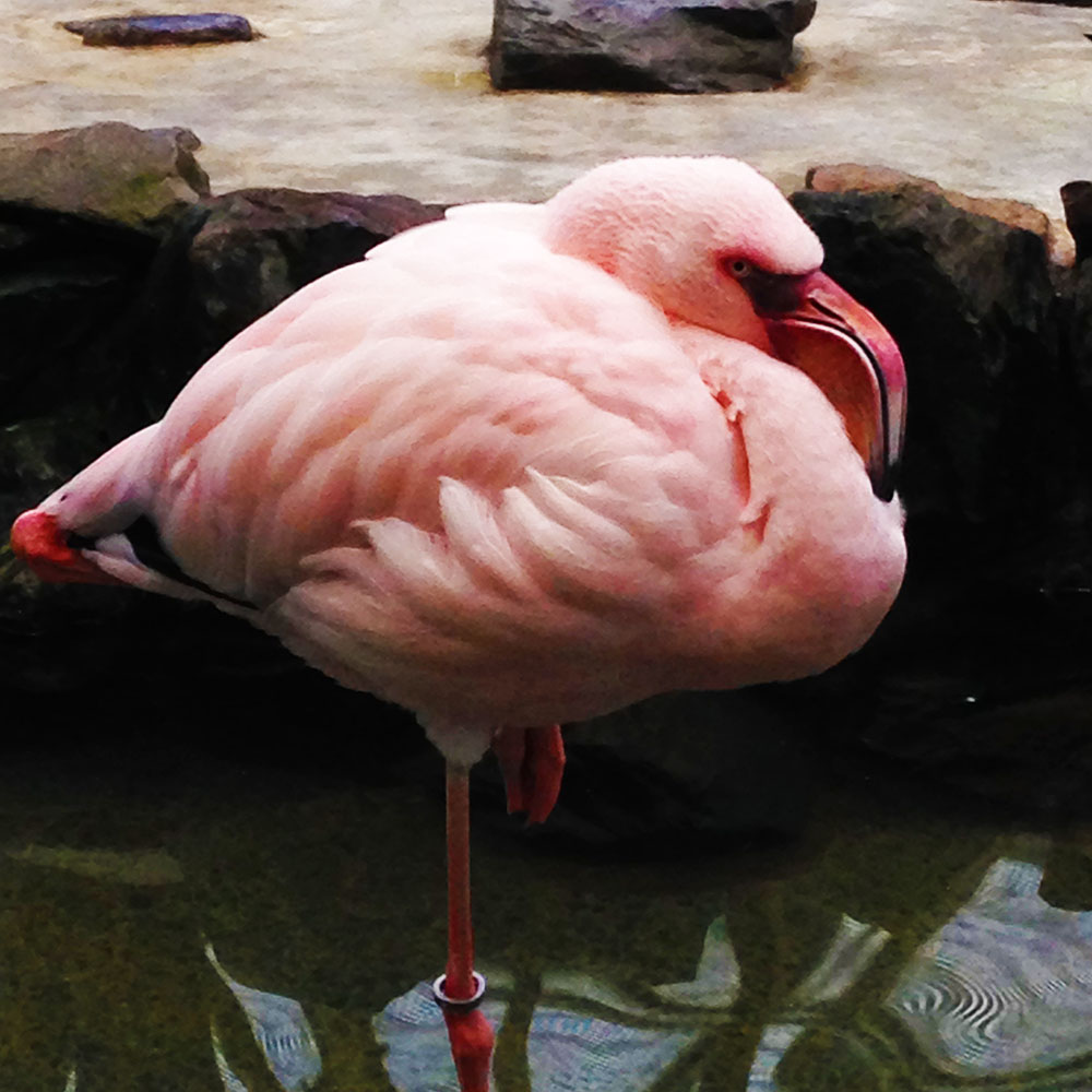 写真 ２０２５.９