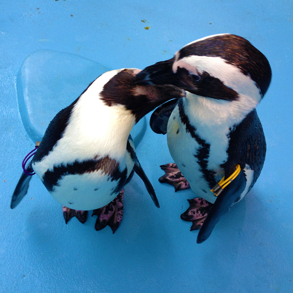 写真 ２０２５.９