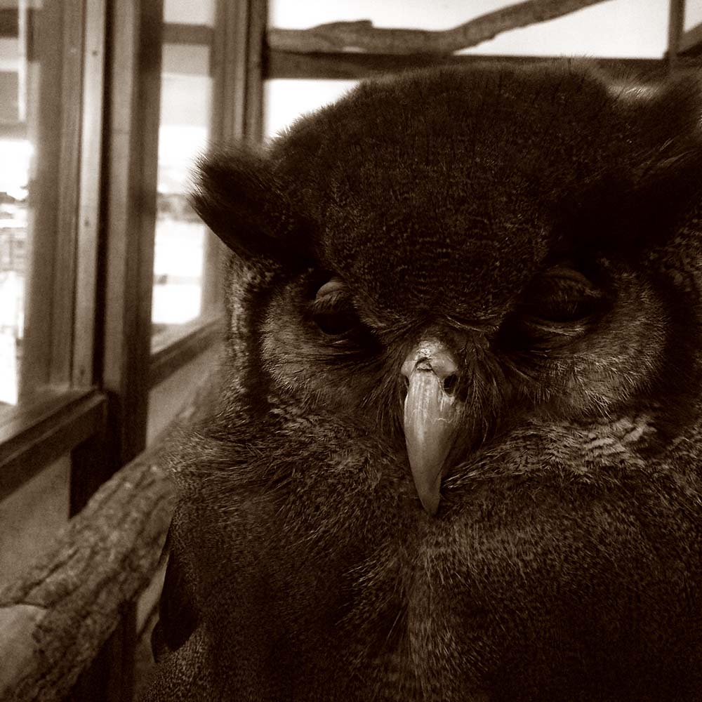 写真 ２０２５.９