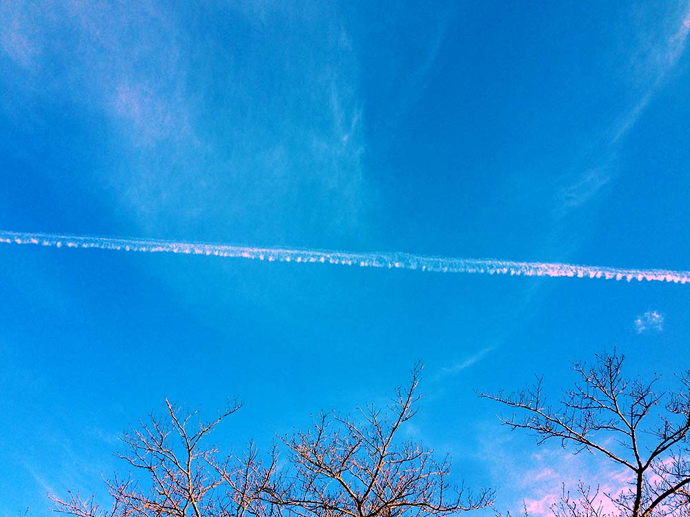 写真 ２０２５.９