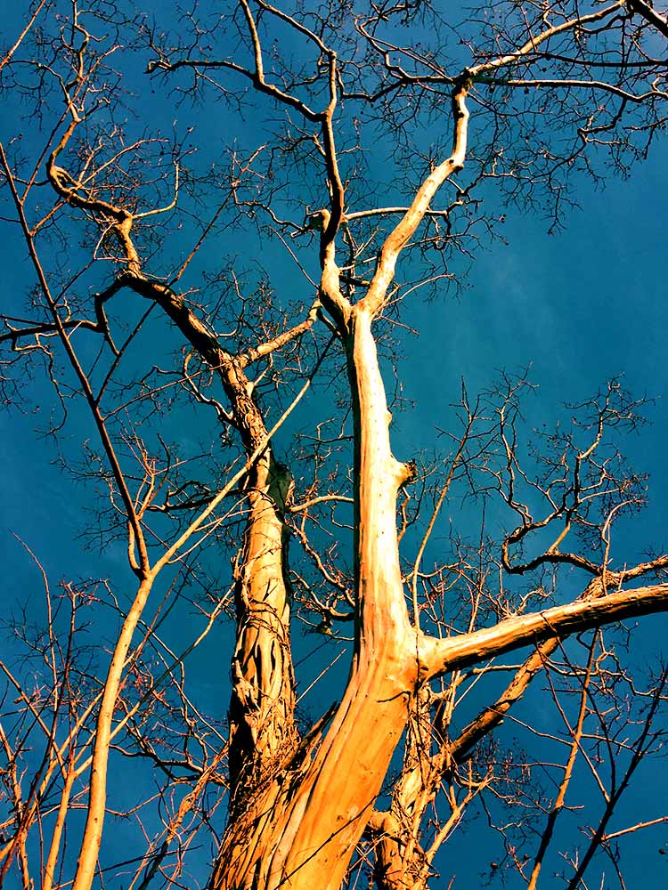 写真 ２０２５.９