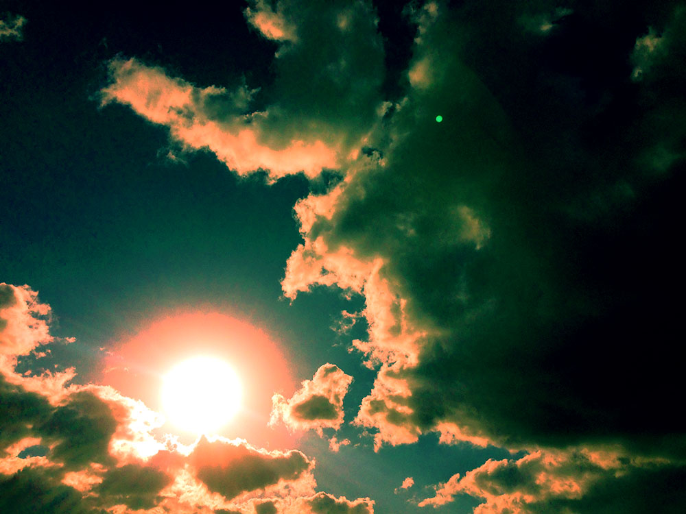 写真 ２０２５.９