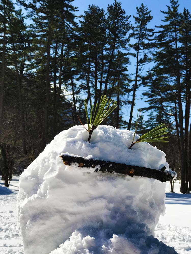 写真 ２０２５.１０