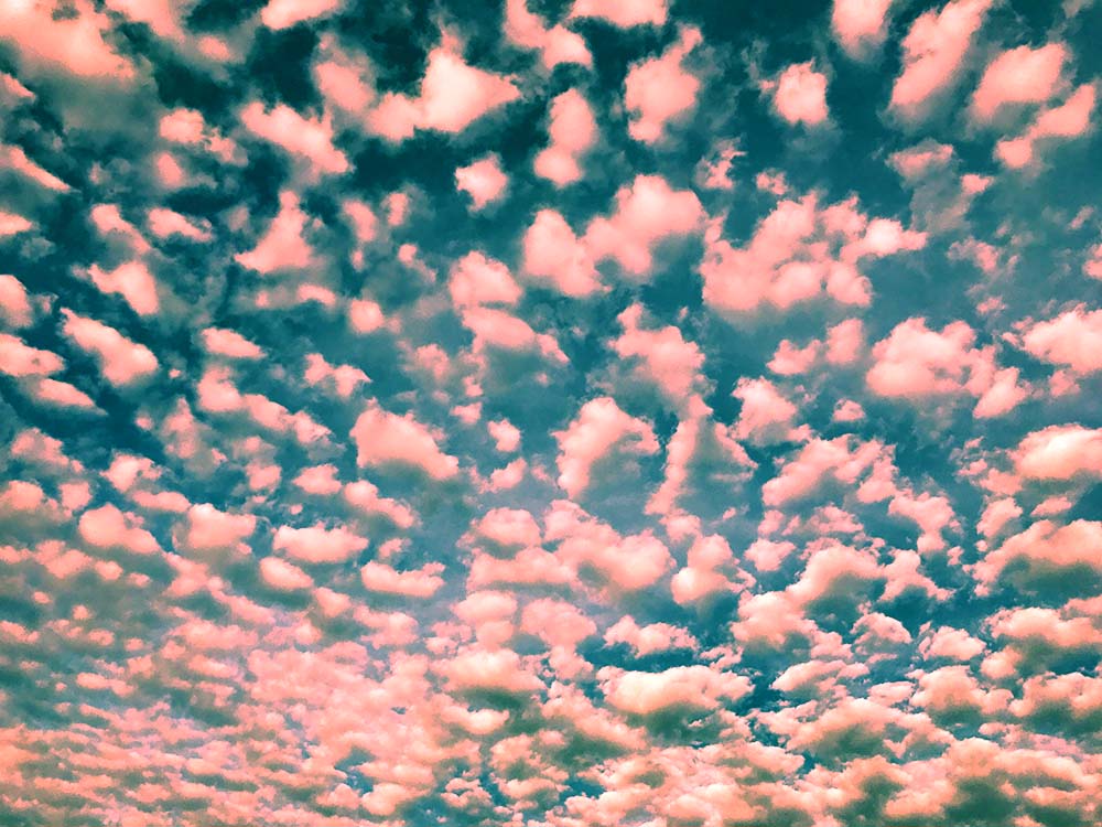 写真 ２０２５.１０