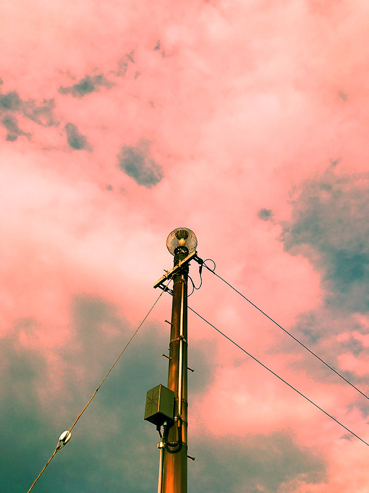 写真 ２０２５.１０