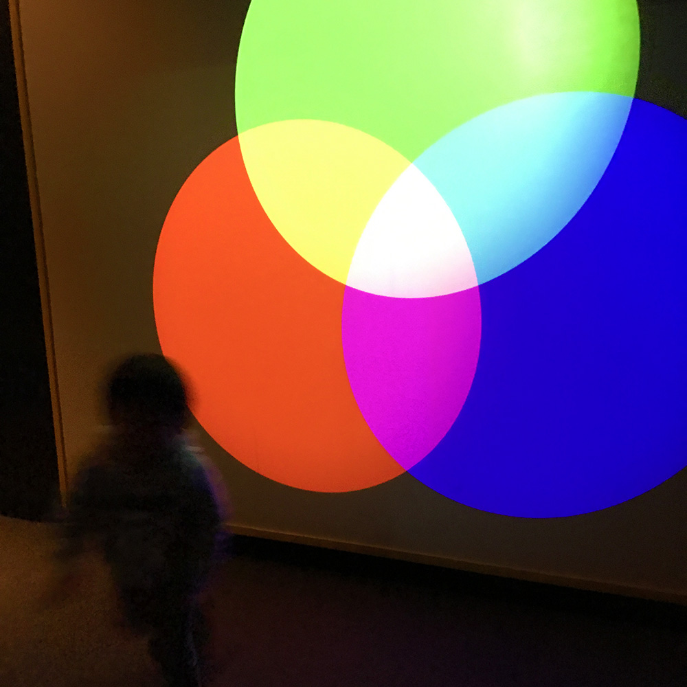 写真 ２０２５.１０