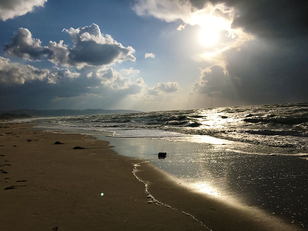 写真 ２０２５.１０