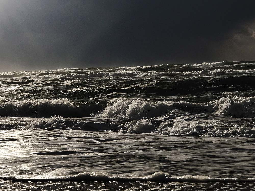 写真 ２０２５.１０