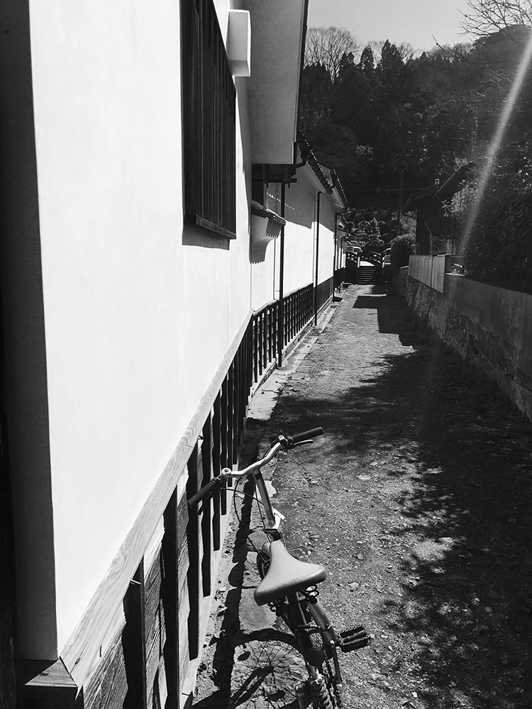 写真 ２０２５.１０