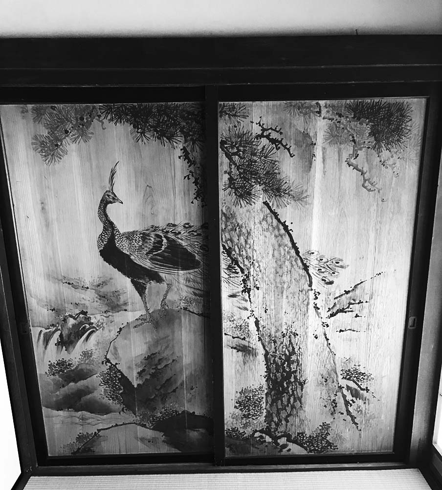 写真 ２０２５.１０