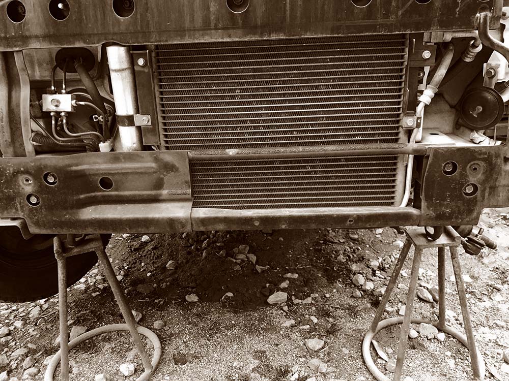 写真 ２０２５.１０