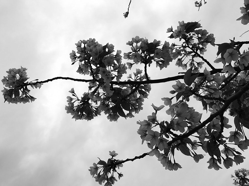 写真 ２０２５.１０