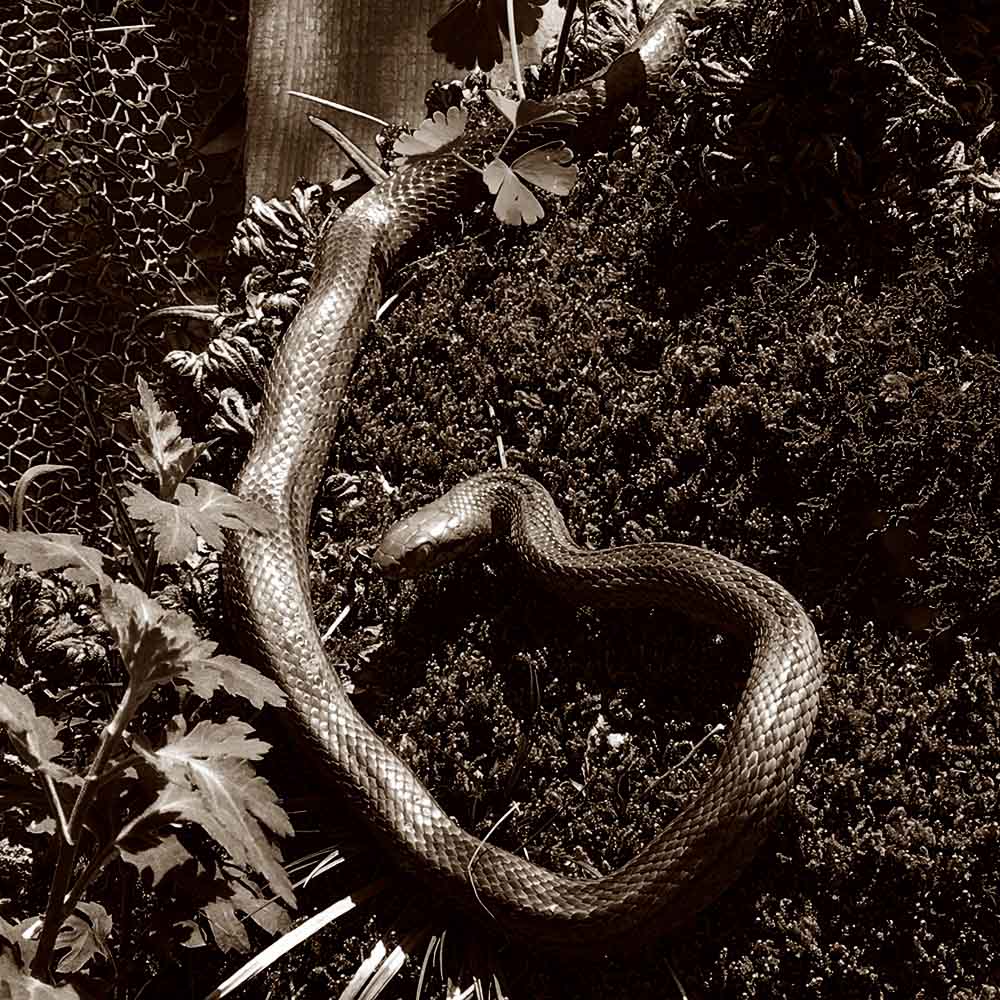 写真 ２０２５.１１