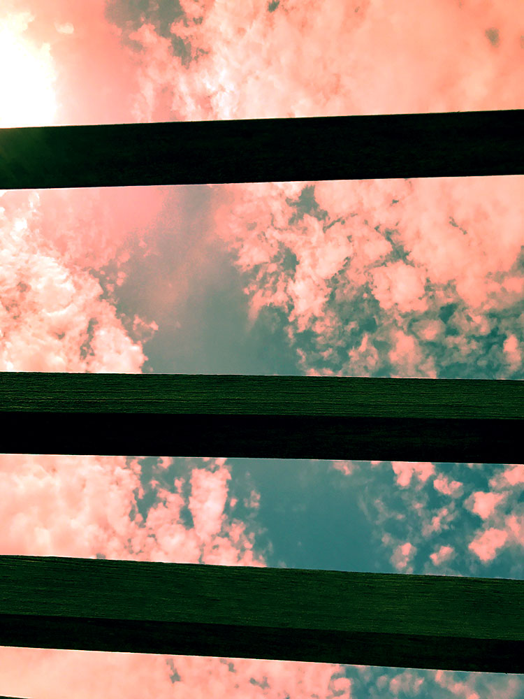 写真 ２０２５.１２