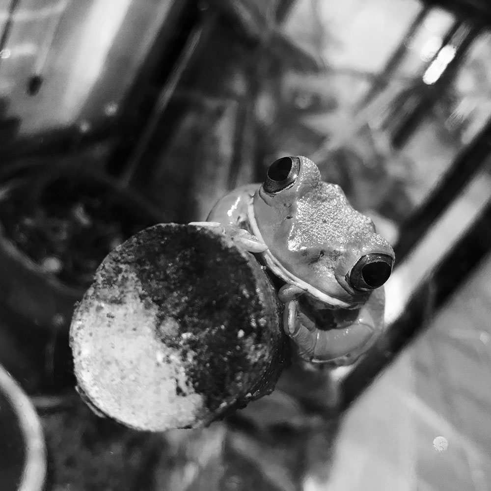 写真 ２０２５.１２