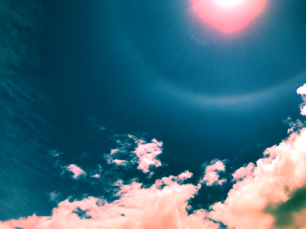 写真 ２０２６.１