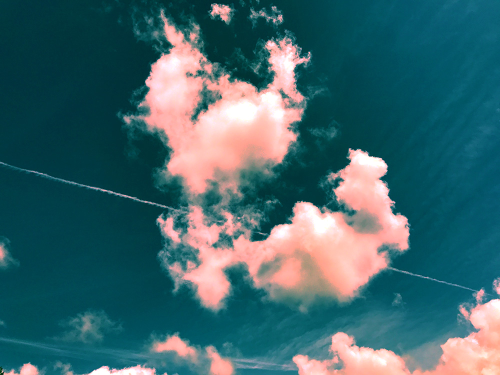 写真 ２０２６.１