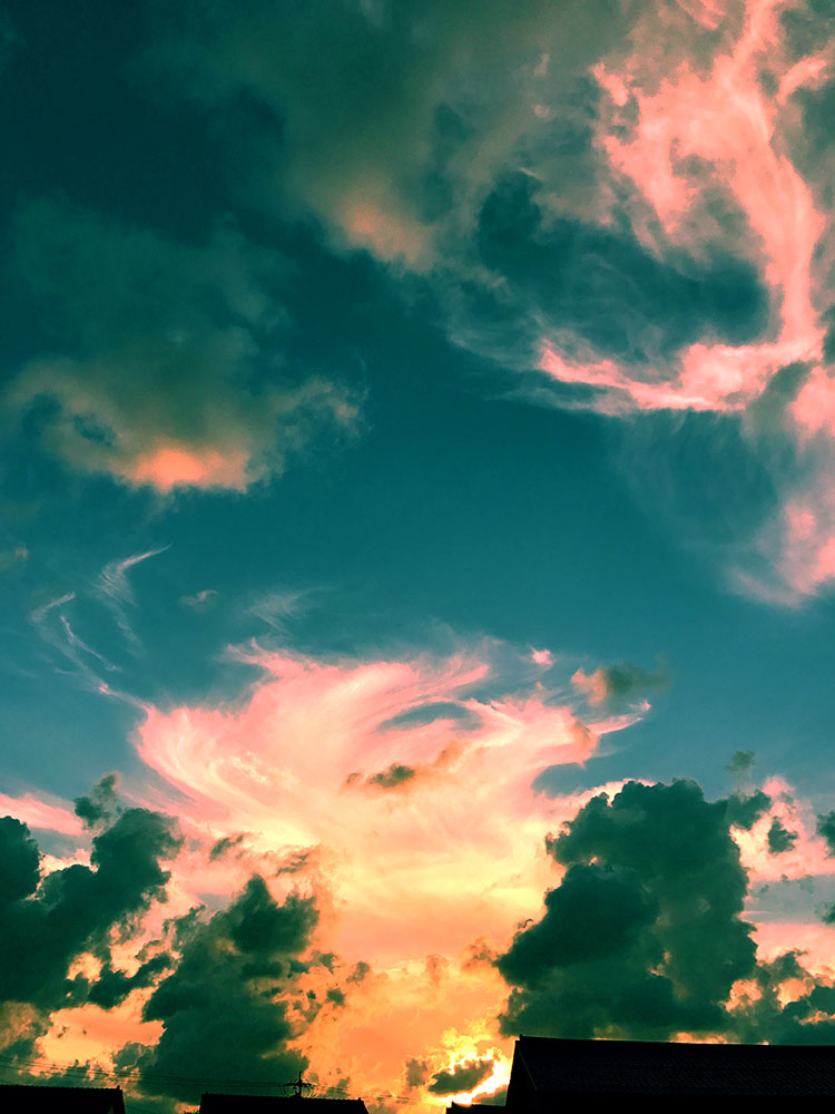 写真 ２０２６.１