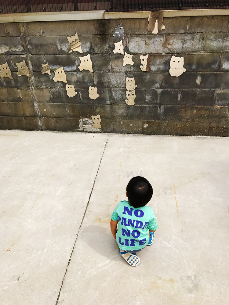 写真 ２０２６.１