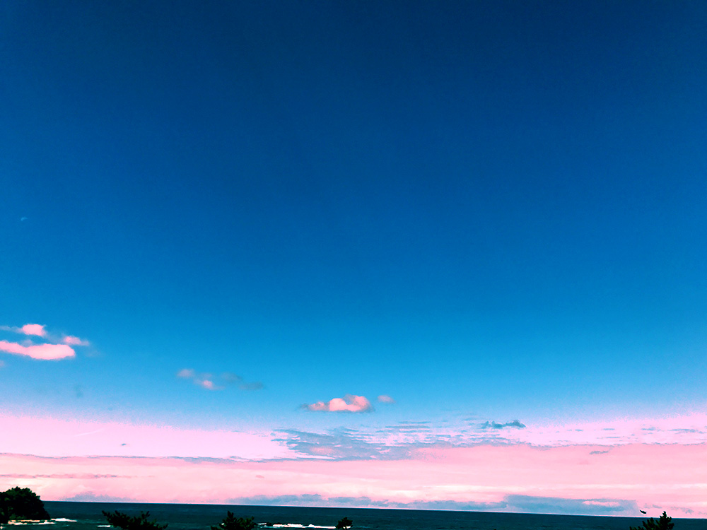 写真 ２０２６.２