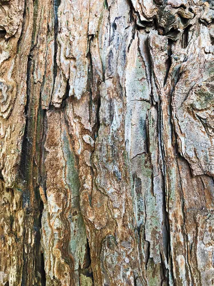 写真 ２０２６.２