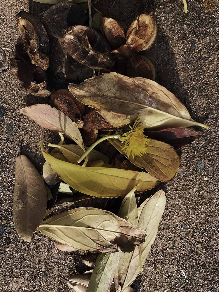 写真 ２０２６.２