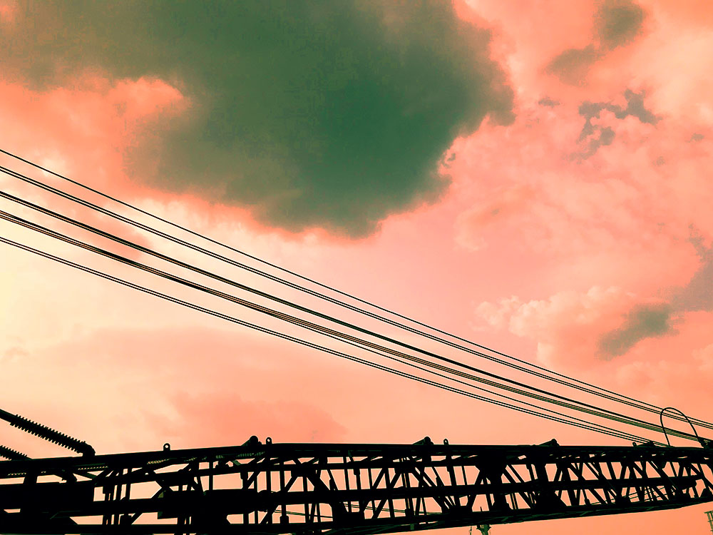 写真 ２０２６.３