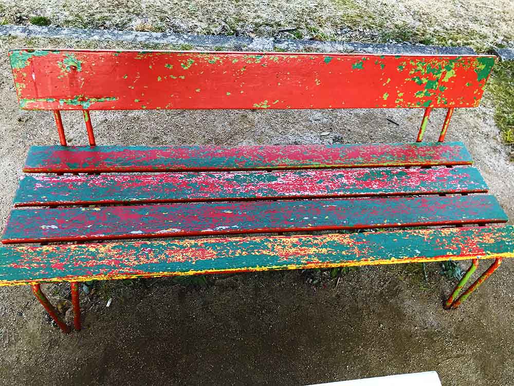 写真 ２０２６.３