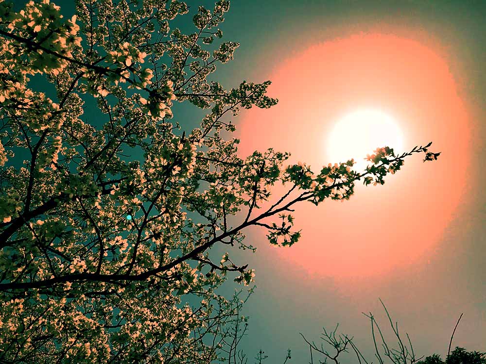 写真 ２０２６.４