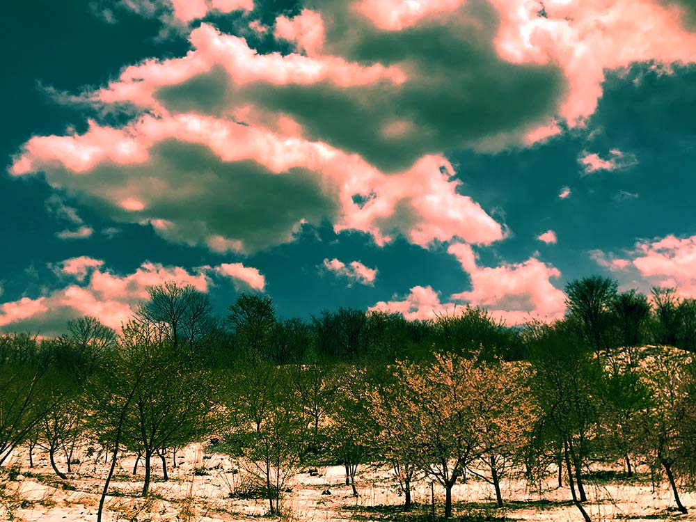 写真 ２０２６.４